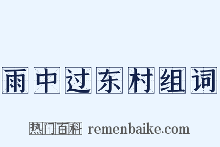 雨中过东村组词是什么意思的图片